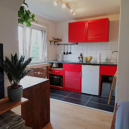 Kleines Studio Am Uni-Campus - Perfekt Fuer Junge Unternehmungslustige Drezda Kültér fotó